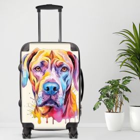 Argentine Luggage20/24/28 Inch Luggage, Carry-On, Custom Luggage, Luggage Set, Suitcase, Travel, Vacation, Cabin Suitcase, Custom Suitcase (size: 20"" Carry-On)